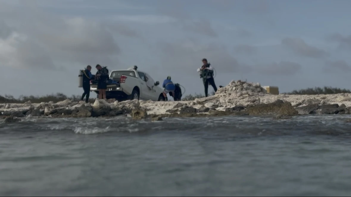 Bonaire — truck and divers on the shore