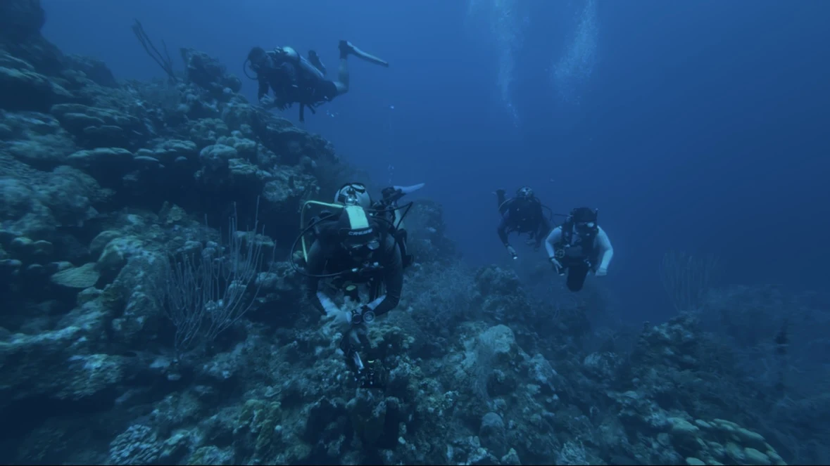 Grupo de buzos explorando el arrecife